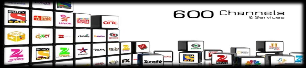 TV Planning & Buying Media Planning: Planning a mix of TV media ( News, GEC, Sports, Music etc.