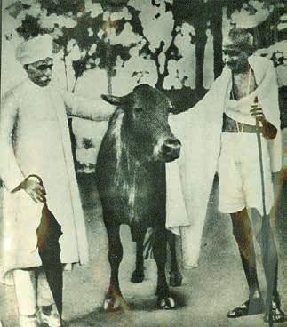 Imperial Institute of Animal Husbandry & Dairying established at Bangalore in 1923 Genesis and Glorious Past National Dairy Research Institute (NDRI) at Karnal, Haryana is one of the premier