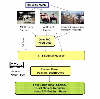 Structure of Israel s beef industry Source: A