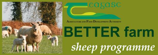 e-profit Monitor Anaysis Drystock Farms 2012 Appendix 3 Teagasc BETTER Farm Sheep Programme The main objective of the Teagasc BETTER Farm Sheep programme is to provide foca points to faciitate the