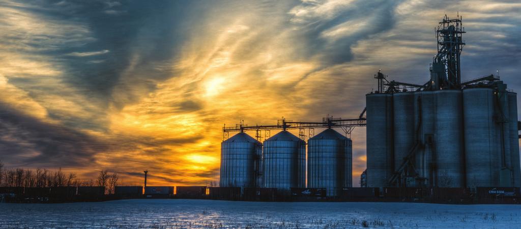 November 18 Grain Elevator Outlook 18/19 Key Points: n Trade disruptions and large fall crops have had the biggest impacts on grain markets so far this year. n The U.S.