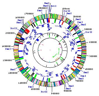 From discovery to knowledge: Transcriptomic s Whole genome and (or)