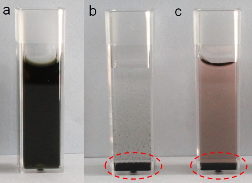 Fig. S2 UV-vis-NIR spectra of 0.05 mg ml -1 gelatin-dox conjugates aqueous solution. Fig.