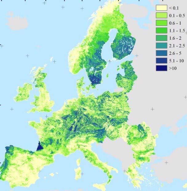 Every minute European forest have a net increase of