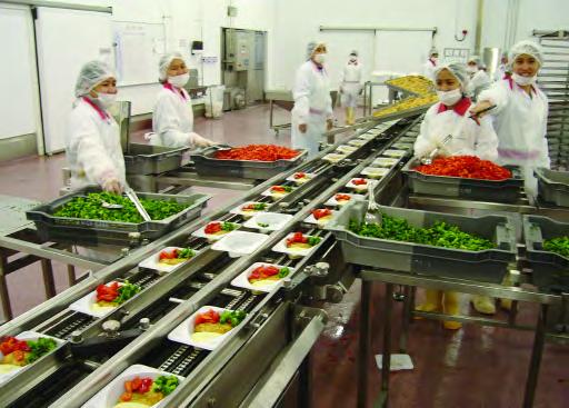 INDEXING CONVEYORS/READY MEAL LINES Suitable for specialised