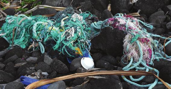 It s estimated that over 10% of the total ocean contamination is caused by lost or discarded fishing gear.