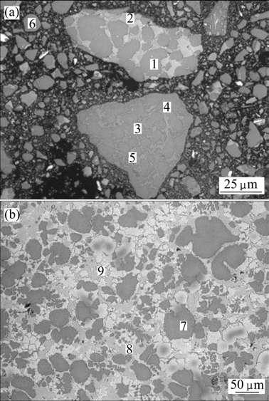 Fig. SEM images of slag without fly ash added: 1, 3, 6