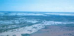 Lake Eyre) River water level (flow)
