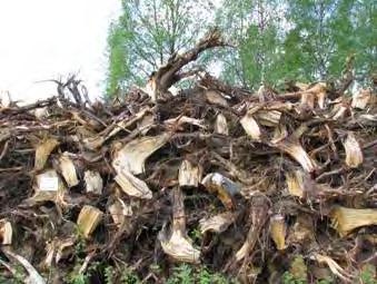 Examples: o Wood chips (soft and hard wood) o