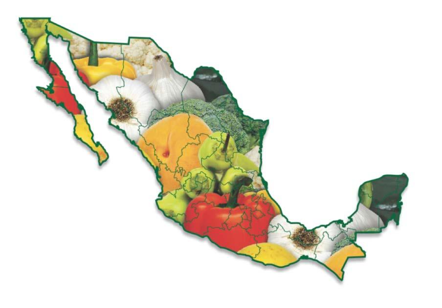 Solutions on three levels 1 National: National Program Agrologistics Mexico Working Guidelines National