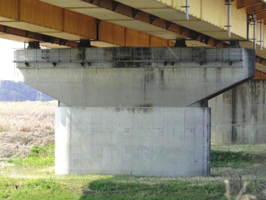 Although Kunita Ohashi Bridge suffered from the vulnerable damage and thus lost the serviceability for the bridge, Nakagawa Bridge did not suffer from the damage and kept the serviceability soon