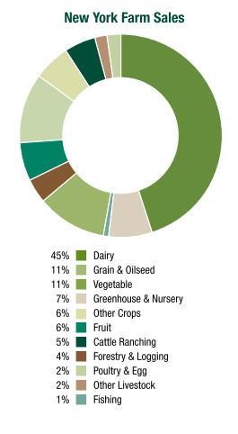 New York: Top Sectors Top Farm Sectors: Dairy: $4.1 billion in impact 26,000 jobs Vegetables: $1.