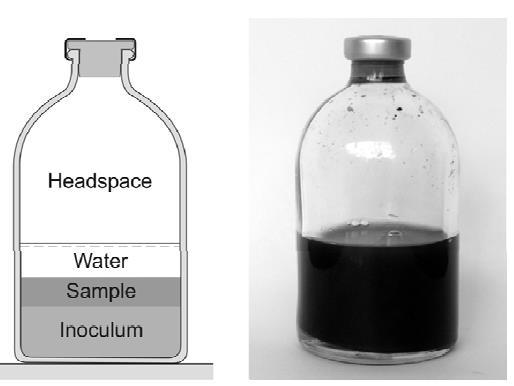MATERIALS AND METHODS 1 ST AIM ANAEROBIC DIGESTION ASSAY Inoculum was collected from a commercial plant and pre-incubated at 35 C (about 1 week) in order to deplete the residual biodegradable organic