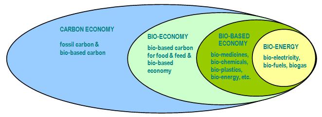 Integrated Approach for Bioenergy: The bio-based economy in context The bio-energy arena is a subset of the bio-based arena (non-food use of biological resources), itself a subset of the bio economy,