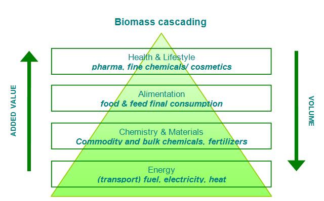 Second: Resource Efficiency Optimum use of bio-resources implies cascading Cascading in time: expanding the utilization of harvested biomass by re-using (or even upgrading) waste streams Cascading in