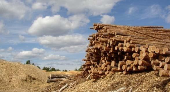 Growing Wood Energy Capacity Russian Federation 750,000 tons