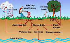 Pesticide Cycle Reference: "Applied