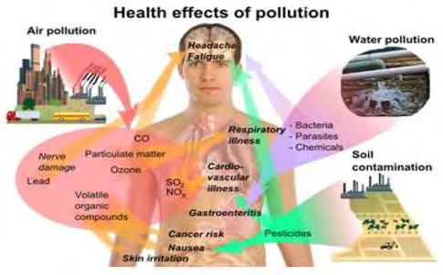 Health effect of pollution