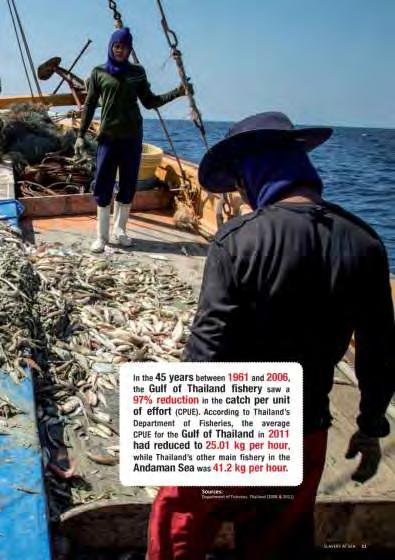 Thai Fishing Industry Too many vessels using destructive and unsustainable fishing methods to catch too many fish