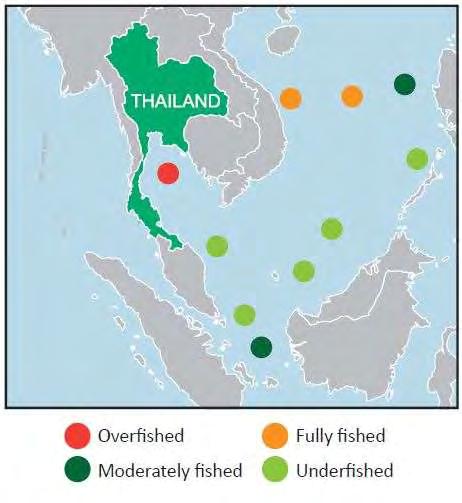 Oversea Fisheries Pelagic overfishing in SEA