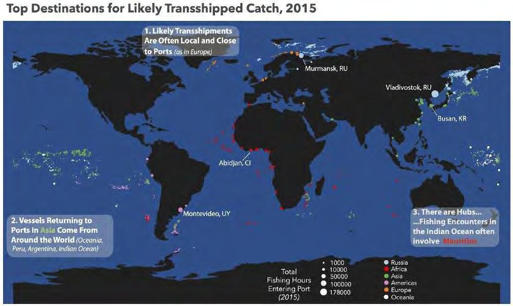globalfishingwatch.