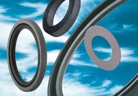 seals: Your competitive edge Their great extrusion resistance and their superior material quality also make it possible for seals to withstand easily high speeds and a broad