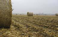 Agricultural residues - research Ontario biomass
