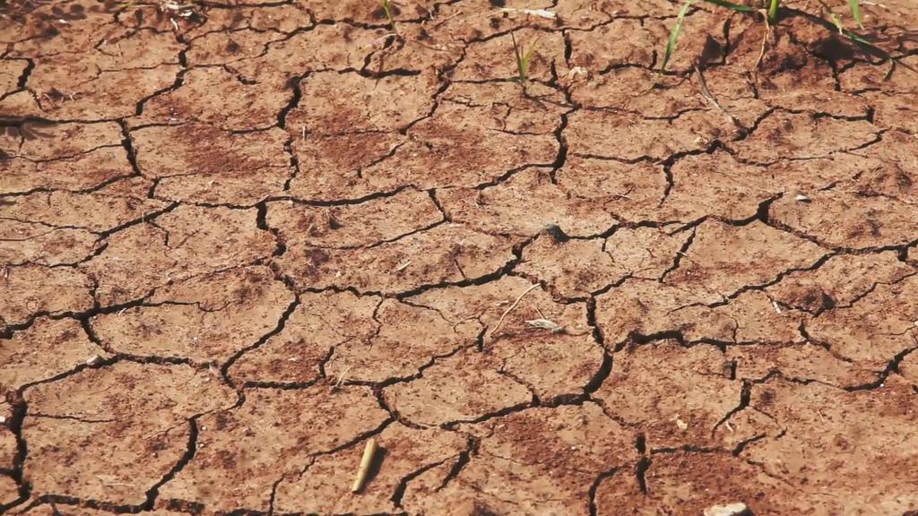 INCREASING WATER SCARCITY Climate change will