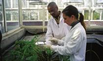 Collaboration and Projects The Institute collaborates with a variety of scientifi c organisations, including: International Maize and Wheat Improvement Center (CIMMYT) International Center for