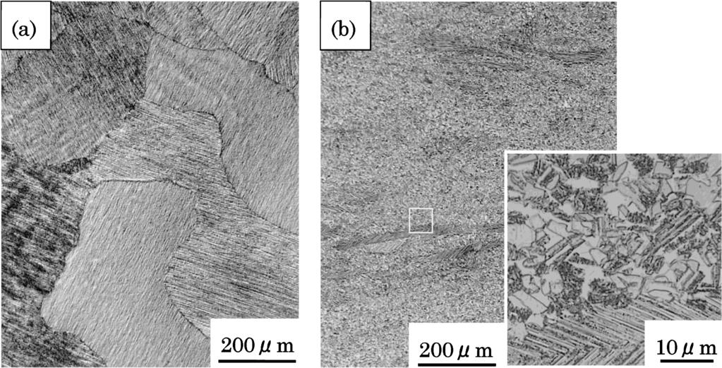 Mechanical Properties of Ultrahigh-Purity Ti 45 mol%al Alloy Fig. 1 165 Optical microstructure of ultrahigh-purity Ti 45Al alloy observed (a) as cast and (b) after isothermal hot forging.
