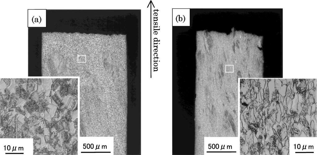 166 C. Kawarada, N. Harima, S. Takaki and K. Abiko Fig. 4 Optical microstructure of fractured ultrahigh-purity Ti 45Al alloy after tensile test at (a) 823 and (b) 923 K. Fig. 5 Scanning electron micrographs of fracture surfaces for ultrahigh-purity Ti 45Al alloy after tensile test at (a) 293, (b) 823 and (c) 923 K.