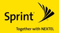 Case Study Example: Sprint Situation Six Learning Institutes Hundreds of programs Uses the Phillips / Kirkpatrick Model Requirements Tool that can forecast ROI and key metrics Populate the HR