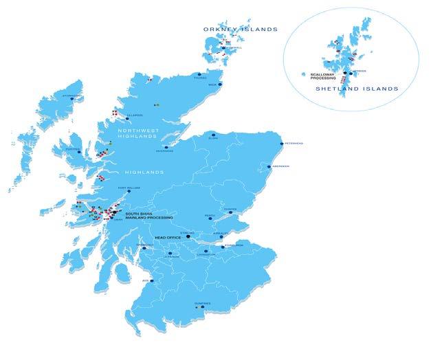 Scottish Sea Farms Overview SSF produce 2 nd highest volume of salmon in Scotland (est.