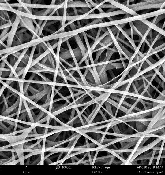 vera-based Nanofiber Membrane with Several