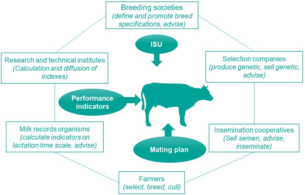 Which actors, tools and knowledge exchange to help on-farm management of genetic to breed