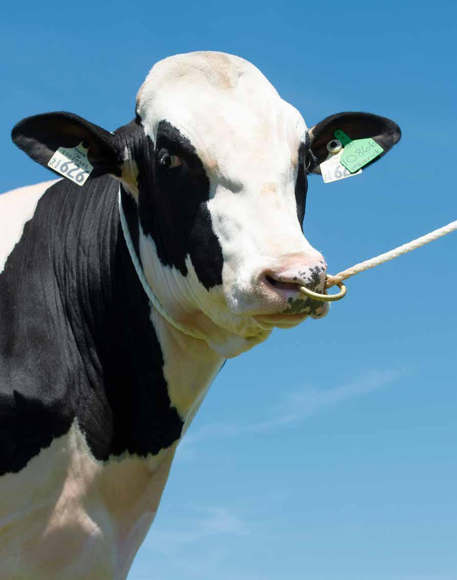 Discover OCTOBER 2018 Innovating for a sustainable future Ramping up research Beefing up dairy