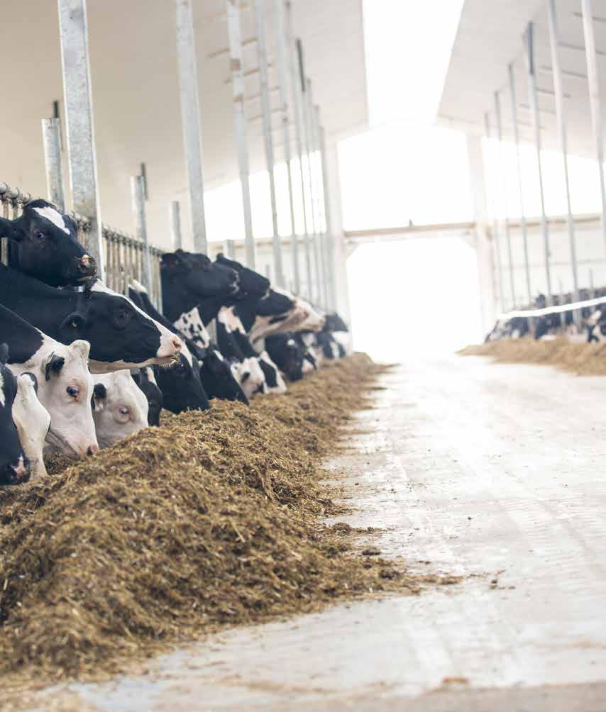 TAKING LARENWOOD FARMS TO THE NEXT LEVEL Like many dairy producers, Chris McLaren of Drumbo, Ontario s Larenwood Farms has been genetic testing heifers for years.