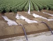 Cotton Water & chemical management Results so far; Reduction of pesticides