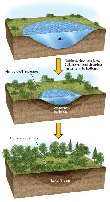 Use the diagram below to answer the two questions that follow. 7. This diagram, which begins with a lake basin that formed due to glacial activity, models a.