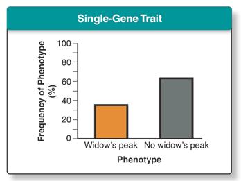 In real populations, phenotypic ratios are determined not only by which allele is, but DOMINANT by FREQUENCY