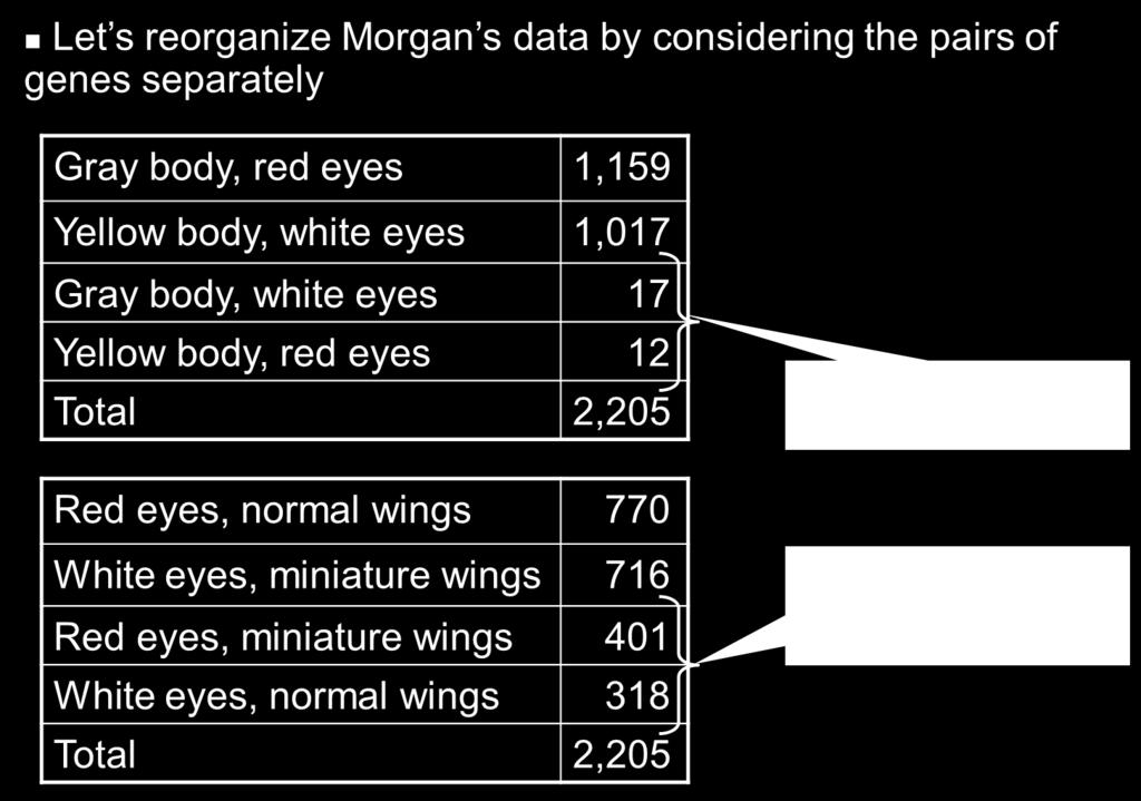 However, Morgan still had to interpret two key observations 1.
