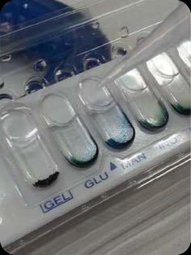 Different test panels are prepared in dehydrated forms which are reconstituted upon use by addition of bacterial suspensions.