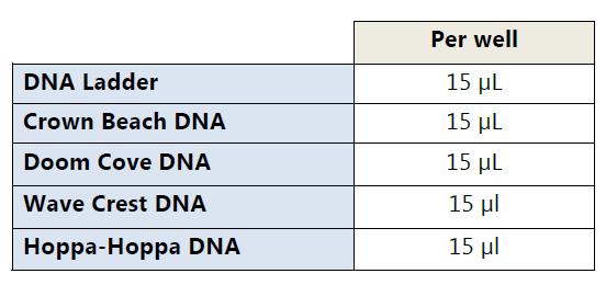 Notebook Procedure Overview Add 3 µl of 6X Gel Loading Dye (LD) to each DNA sample (including the DNA Ladder)
