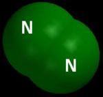 Nitrogen Cycling Nitrogen is an important element that is part of the DNA molecule, which is responsible for the replication of living cells.