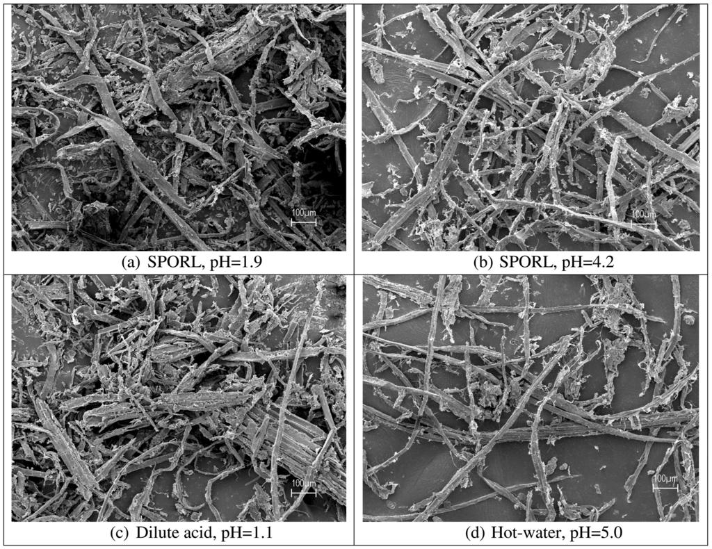Figure 4. SEM images of lodgepole pine substrates produced from different pretreatment process and then disk milled at solids content of 6% with disk plate gap of 0.76 mm.