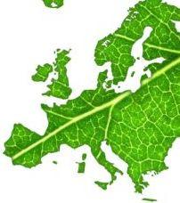 Spotlight on the bioeconomy potential of EU regions The importance