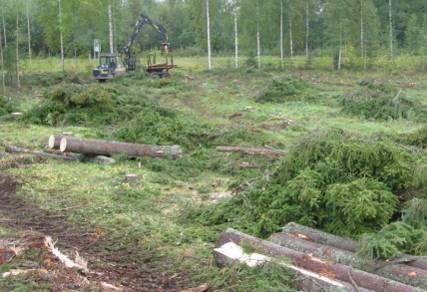 Piling of logging