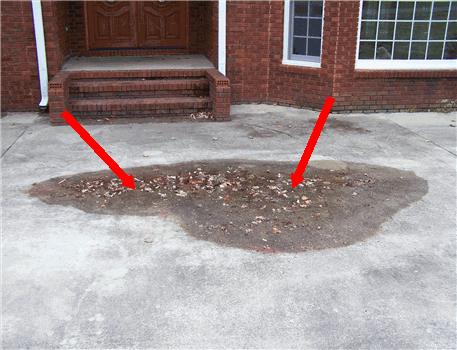 1 Grounds 1 Grounds Driveway Driveway Material concrete 1) Driveway Condition A Poor drainage in front area of driveway.