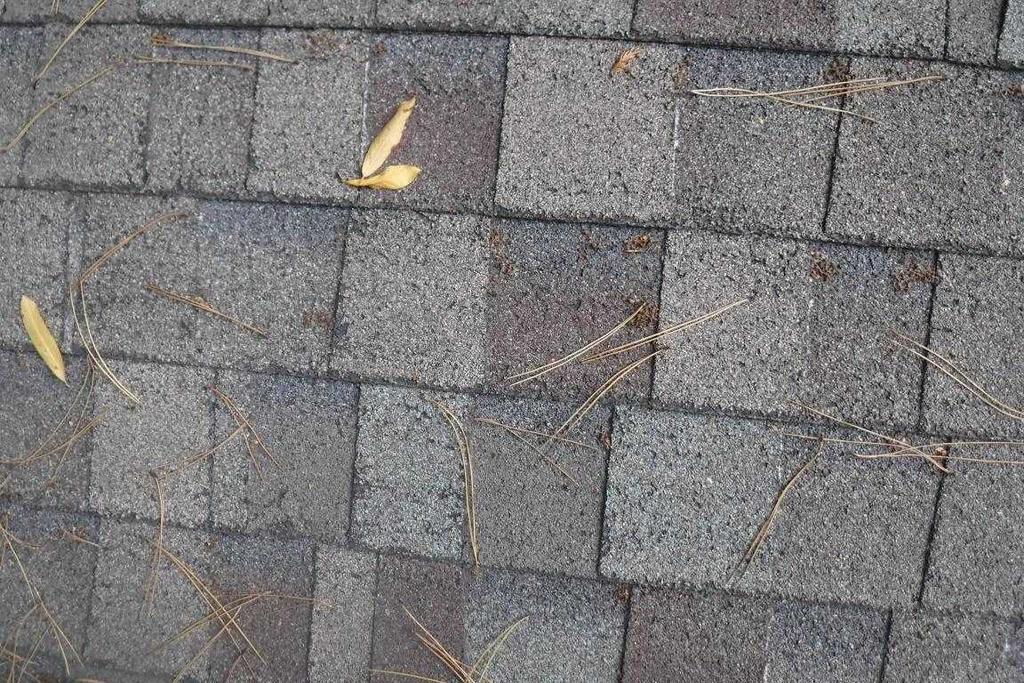 edge of garage roof are