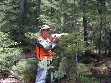 In ummary Research has shown uneven-aged silviculture